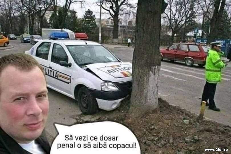 Sa vezi ce dosar penal o sa aiba copacul | poze haioase