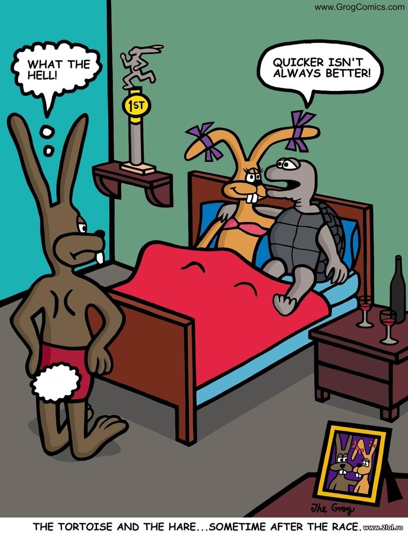 Quicker is not always better | poze haioase