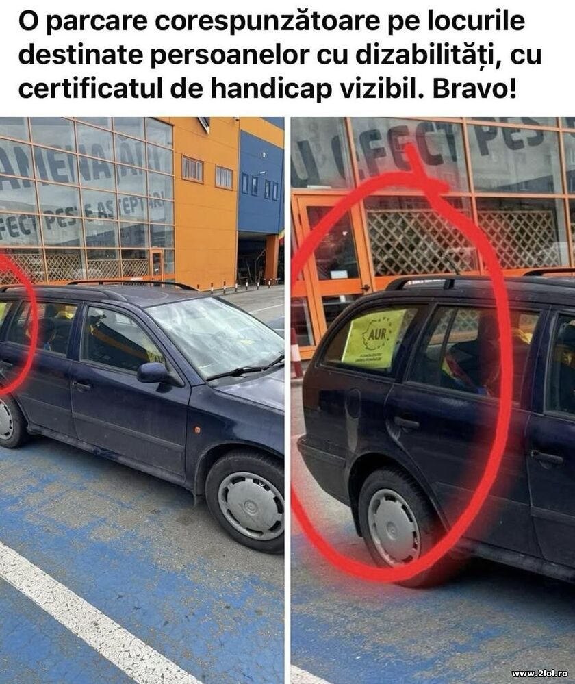 Certificat de handicap vizibil | poze haioase