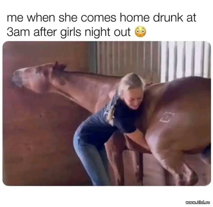 After girls night out | poze haioase