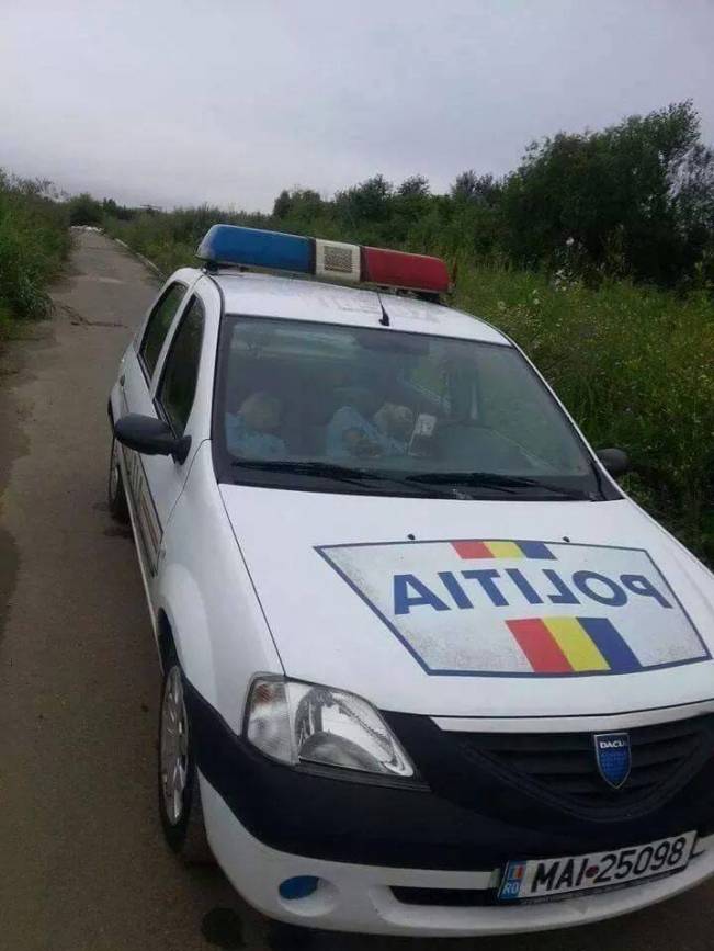 Lucrul la care se pricep cel mai bine | poze haioase