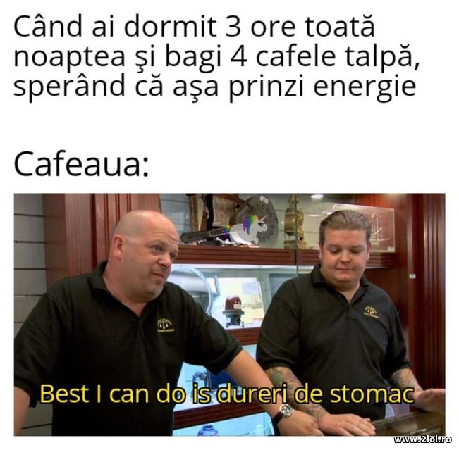 Cand ai dormit 3 ore toata noaptea | poze haioase