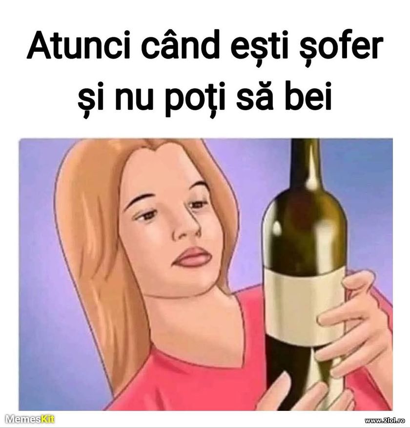 Atunci cand esti sofer si nu poti sa bei | poze haioase
