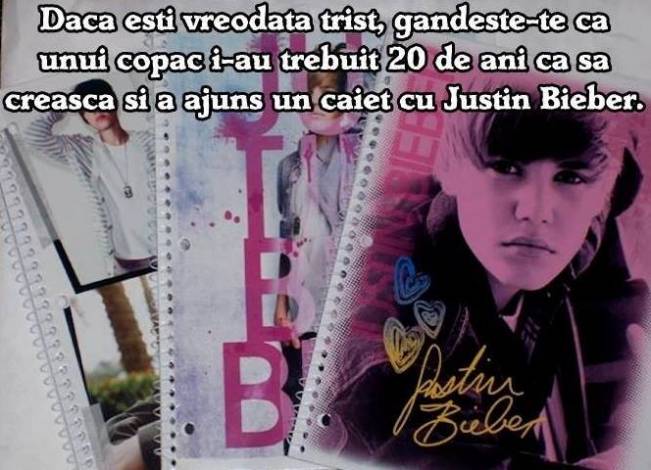 Săracul pom, cât ghinion | poze haioase