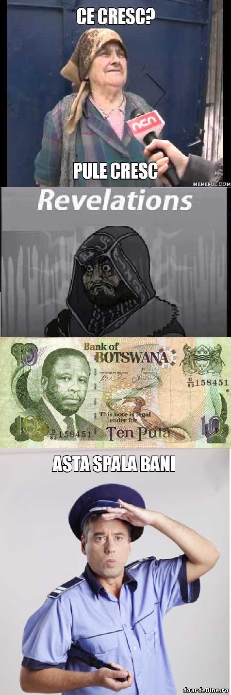 Bă ești nebun? Asta crește bani! | poze haioase