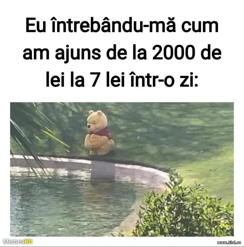 Eu intrebandu-ma | poze haioase