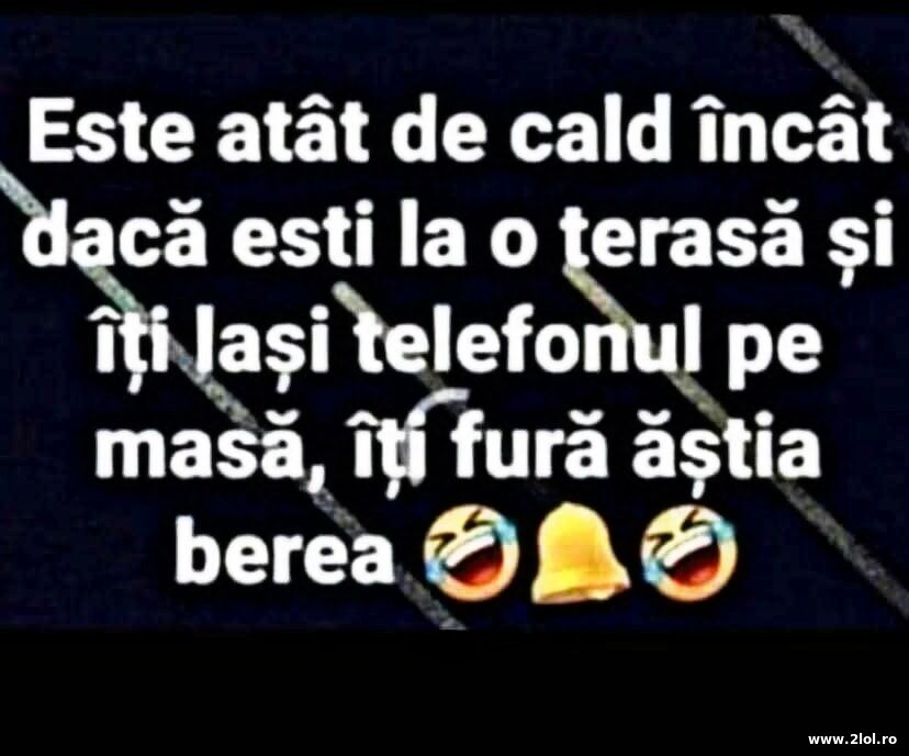 Atat de cald | poze haioase