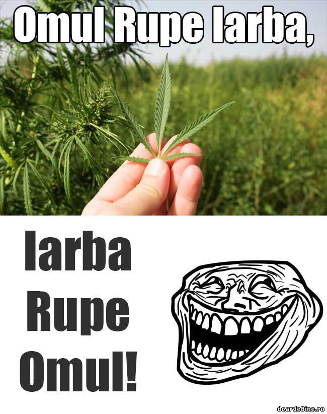 Ne rupem reciproc | poze haioase