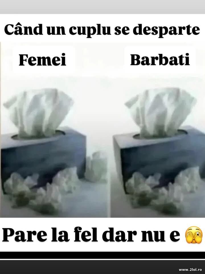 Cand un cuplu se desparte | poze haioase