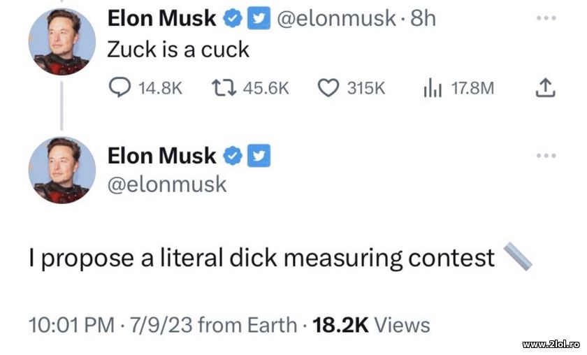 Elon Musk proposes dick measuring content Zuckerbe | poze haioase