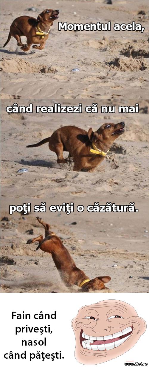 Fain când priveşti, nasol când păţeşti | poze haioase