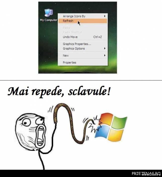Hai sclavule, lucreaza mai repede | poze haioase