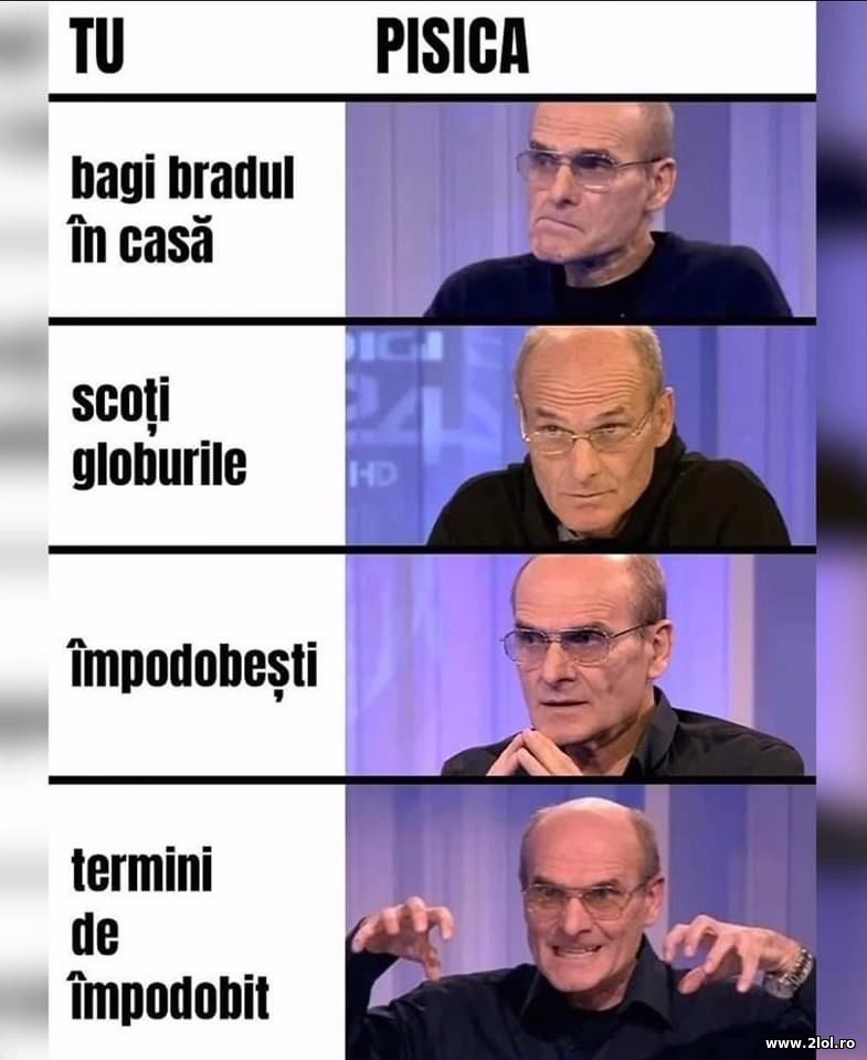 Tu - Pisica - Cristian Tudor Popescu | poze haioase