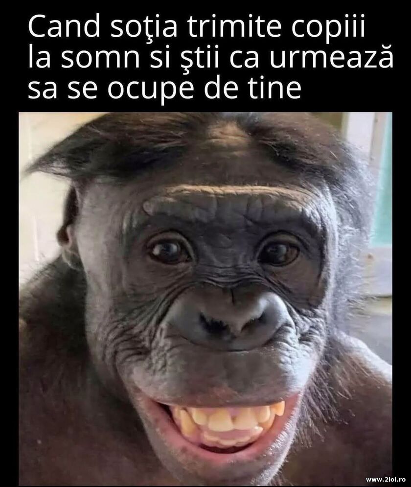 Cand sotia trimite copiii la somn | poze haioase