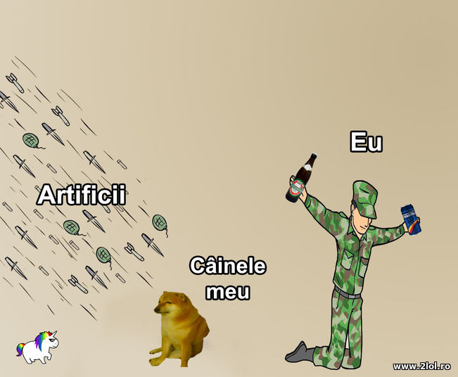 De revelion | poze haioase