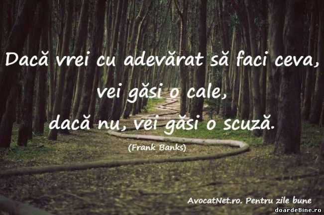 Dacă vrei cu adevărat să faci ceva | poze haioase