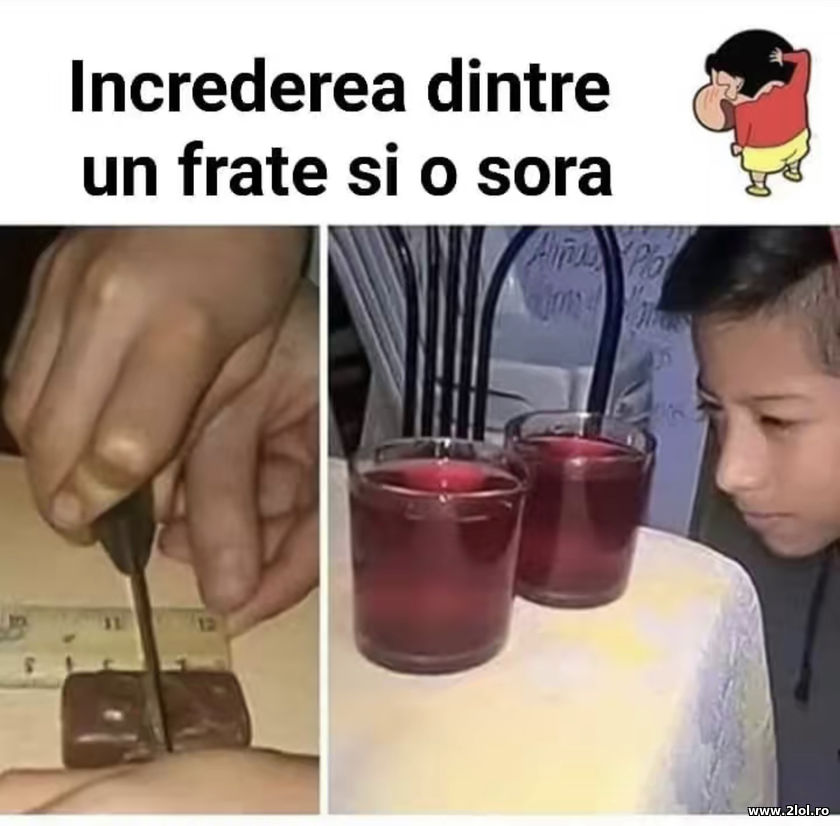 Increderea dintre un frate si o sora | poze haioase