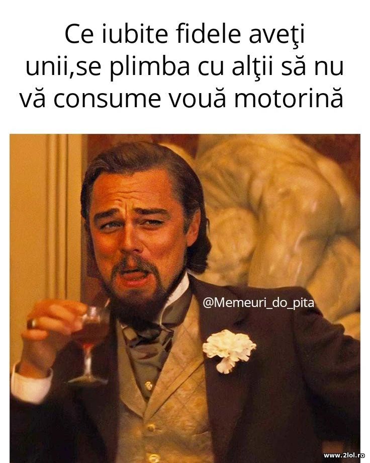 Ce iubite fidele aveti, se plimba cu altii | poze haioase