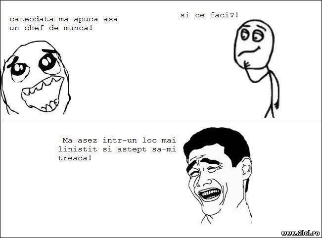 Câteodată mă apucă aşa un chef de muncă | poze haioase