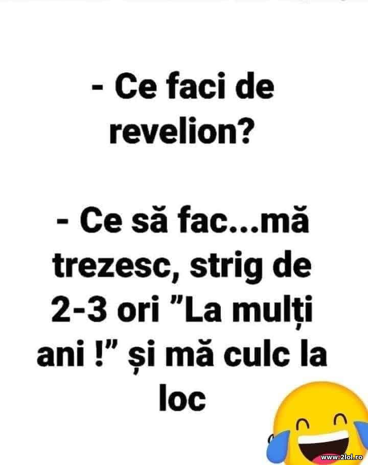 Ce faci de revelion? | poze haioase