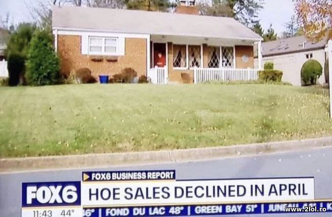 Sales in April? | poze haioase