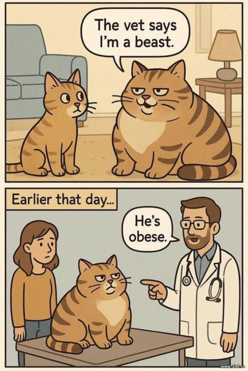 I'm a beast | poze haioase