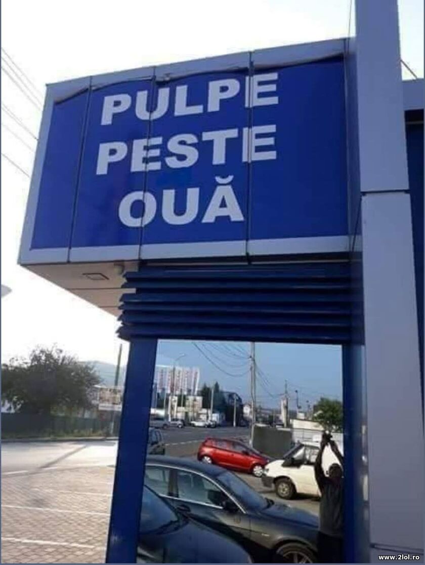 Pulple peste oua | poze haioase