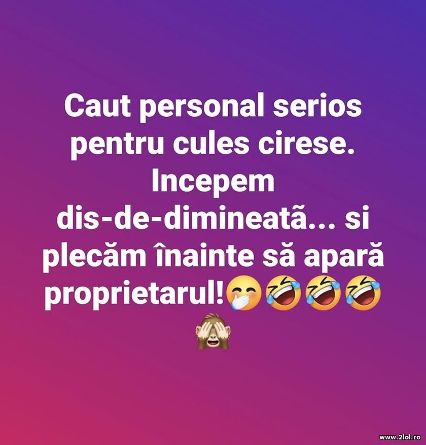 Cules cirese | poze haioase