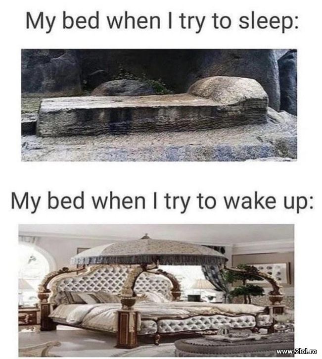 My bed when trying to sleep and waking up | poze haioase