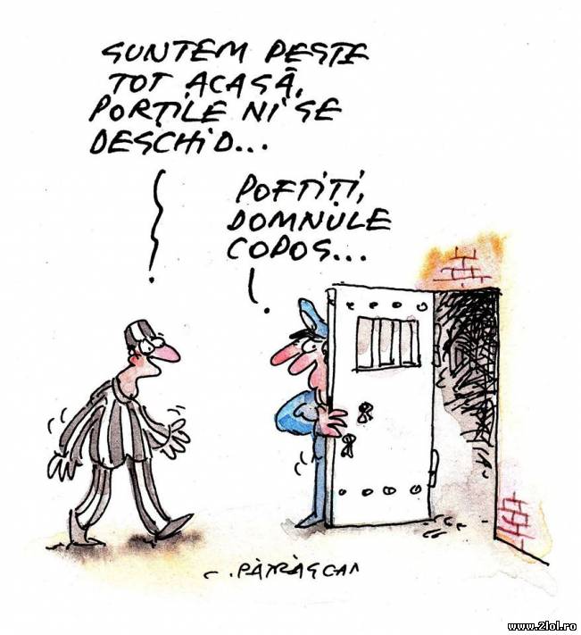 Copos îi peste tot acasă | poze haioase