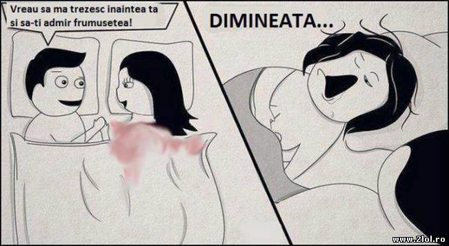 Ma trezesc înaintea ta să-ți admir frumusețea | poze haioase