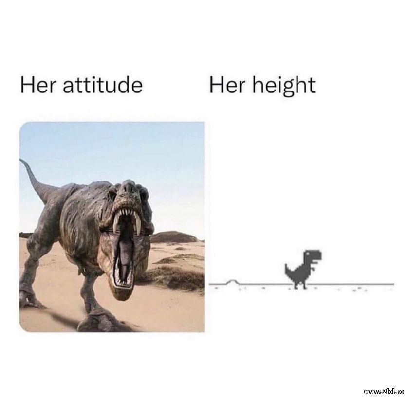 Her attitude and her height | poze haioase