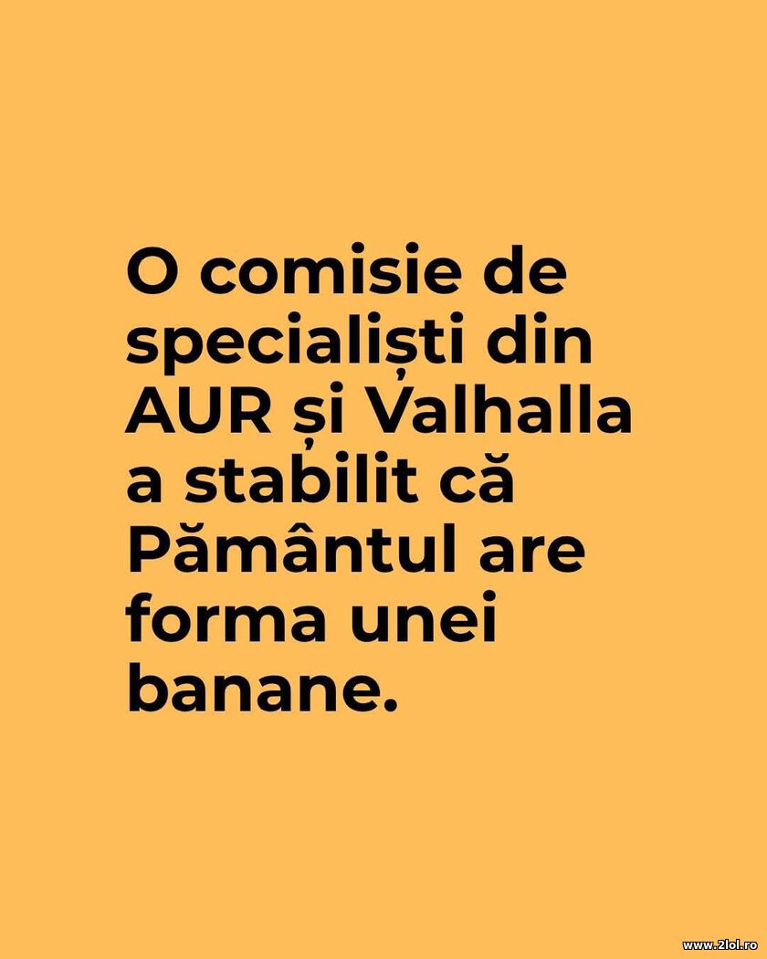 Comisie | poze haioase