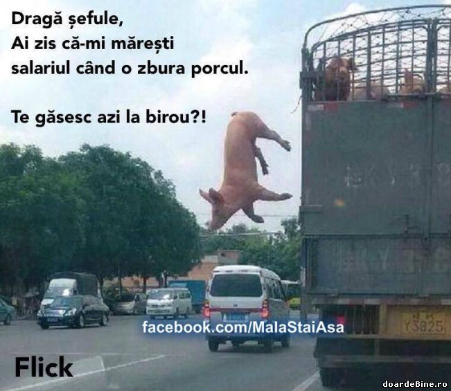 Și așa i s-a mărit salariul | poze haioase