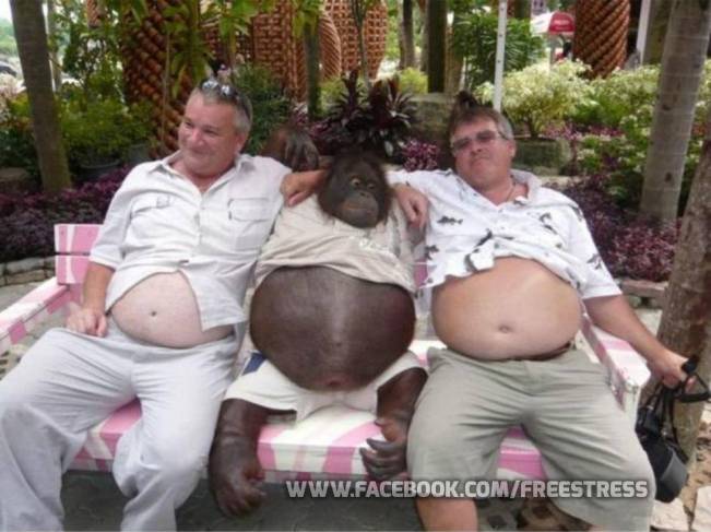 Relax | poze haioase