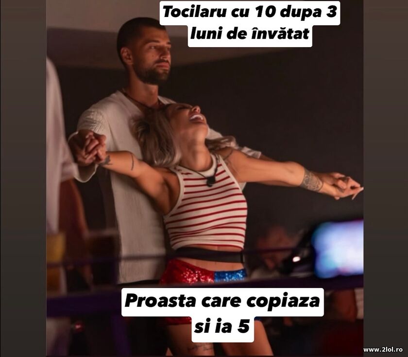 Tocilarul | poze haioase