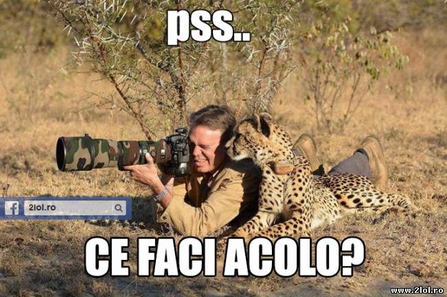 Pss... ce faci acolo? | poze haioase