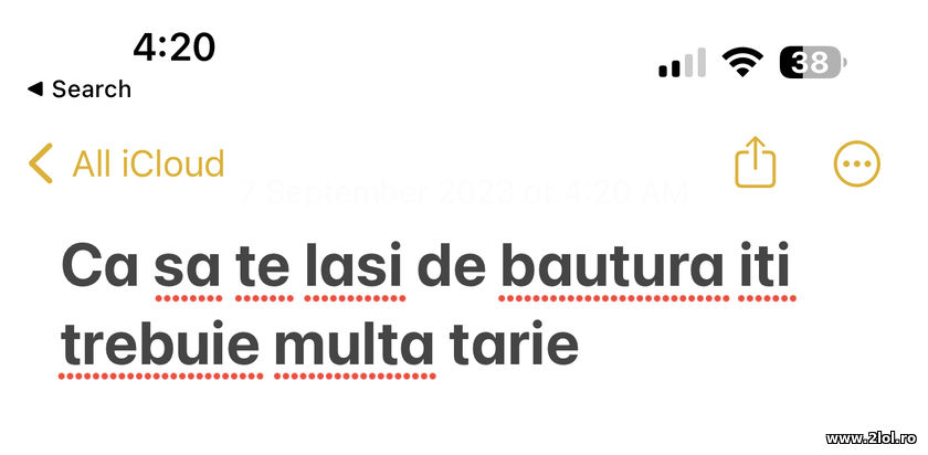 Ca sa te lasi de bautura iti trebuie multa tarie | poze haioase