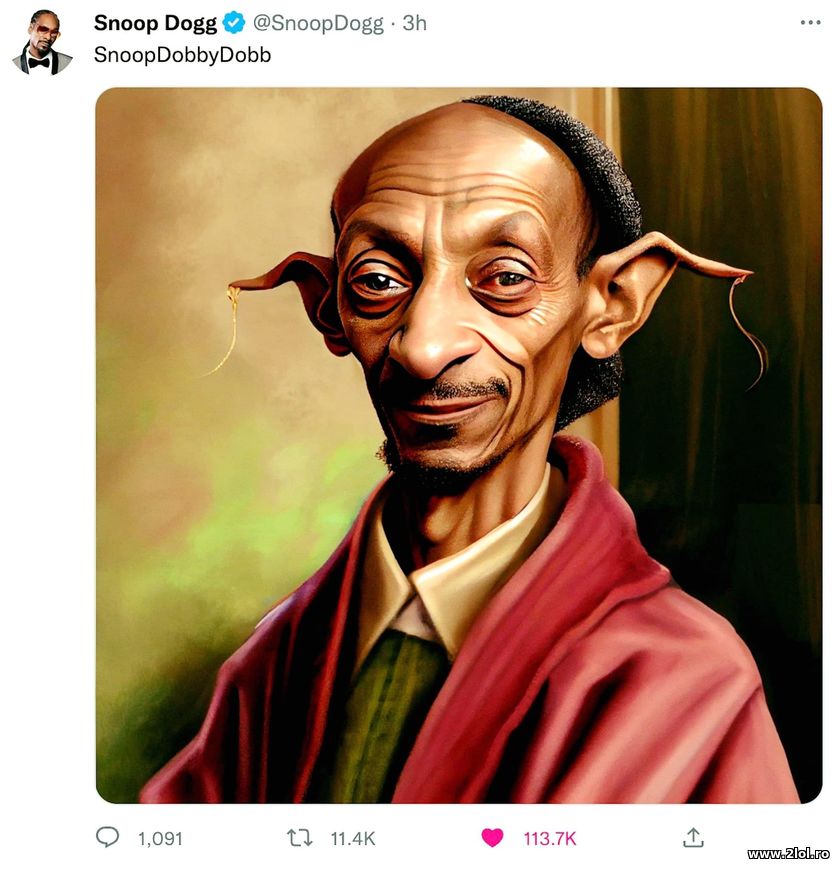 SnoopDobbyDobb | poze haioase