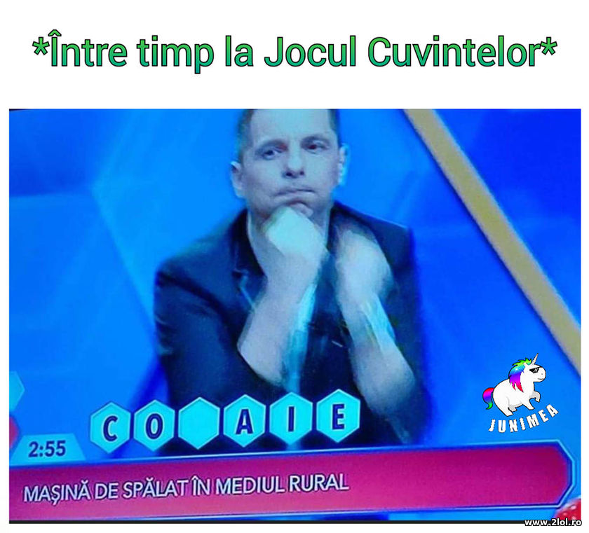 Intre timp la Jocul Cuvintelor | poze haioase