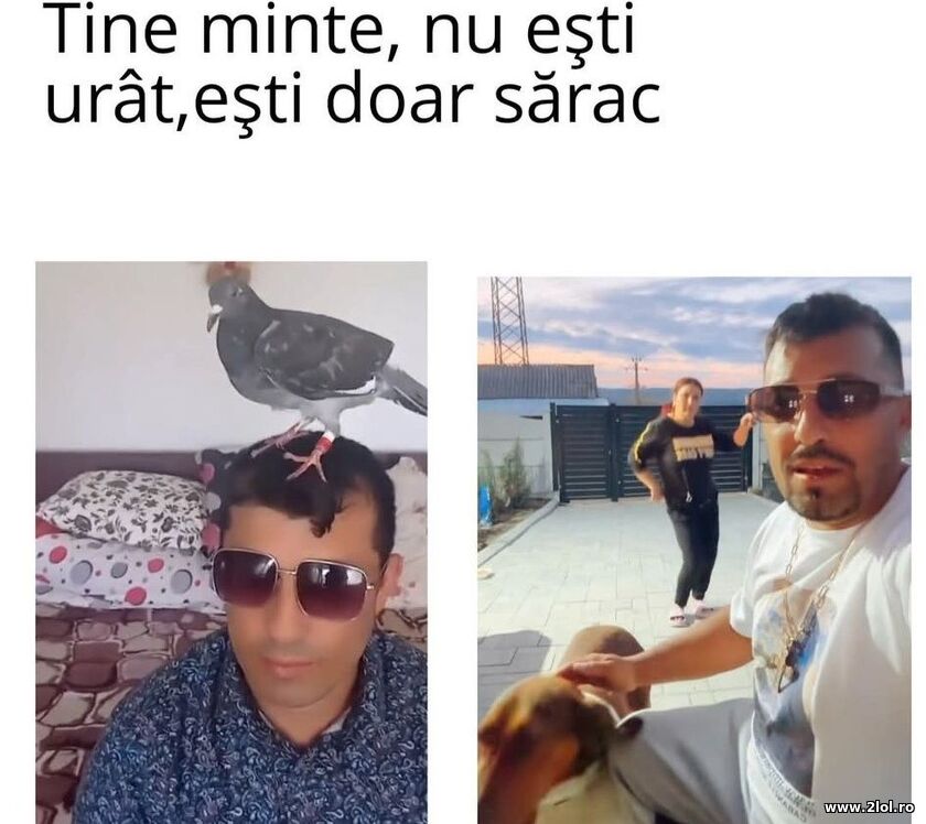 Nu esti urat | poze haioase