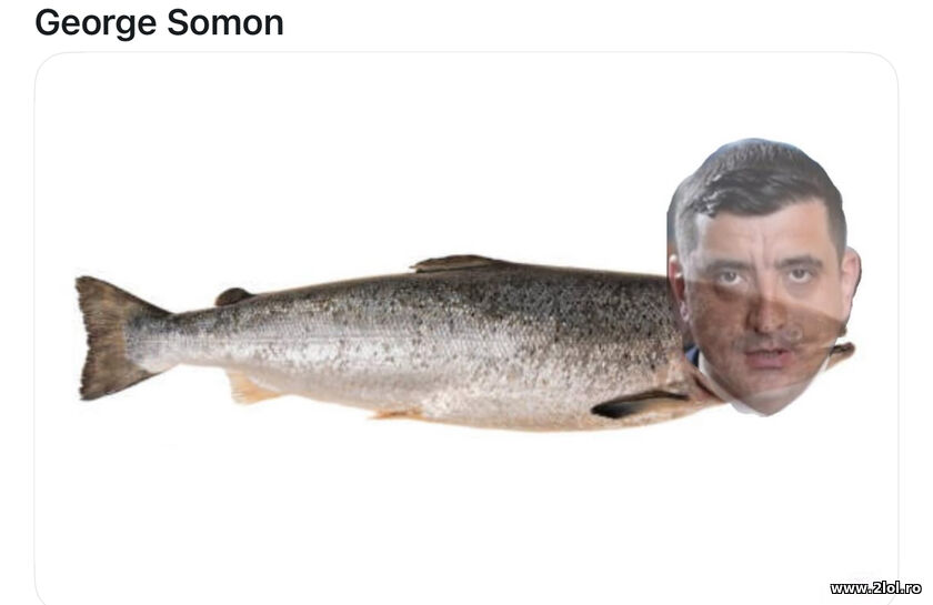 George Somon | poze haioase