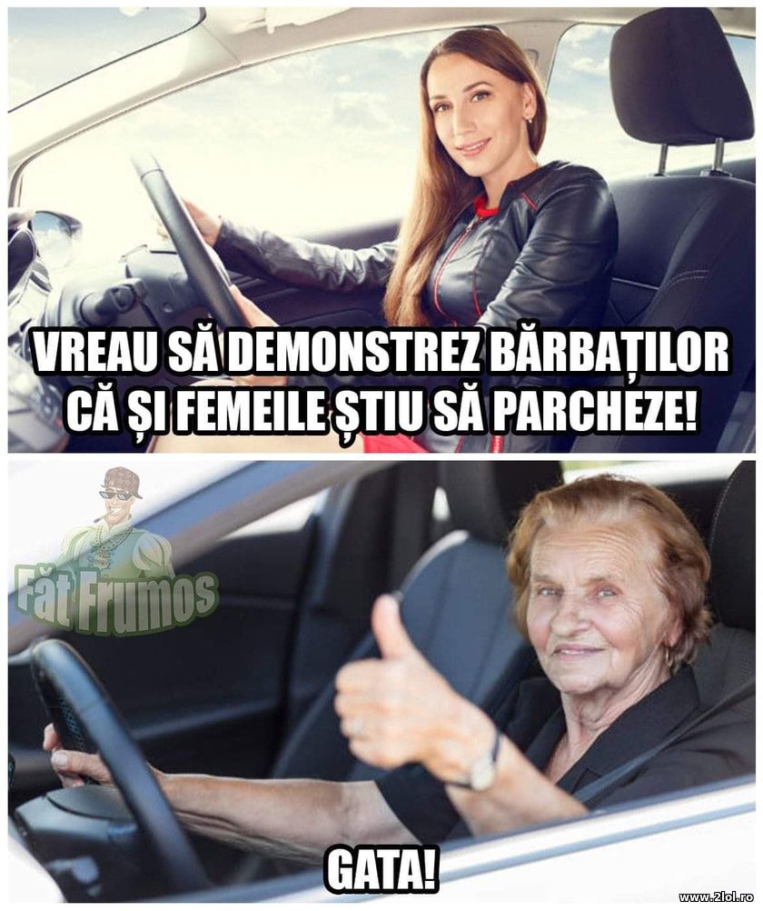 Sa demonstram ca si femeile stiu sa parcheze | poze haioase