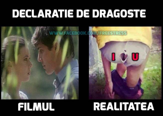 Declaratie de dragoste | poze haioase