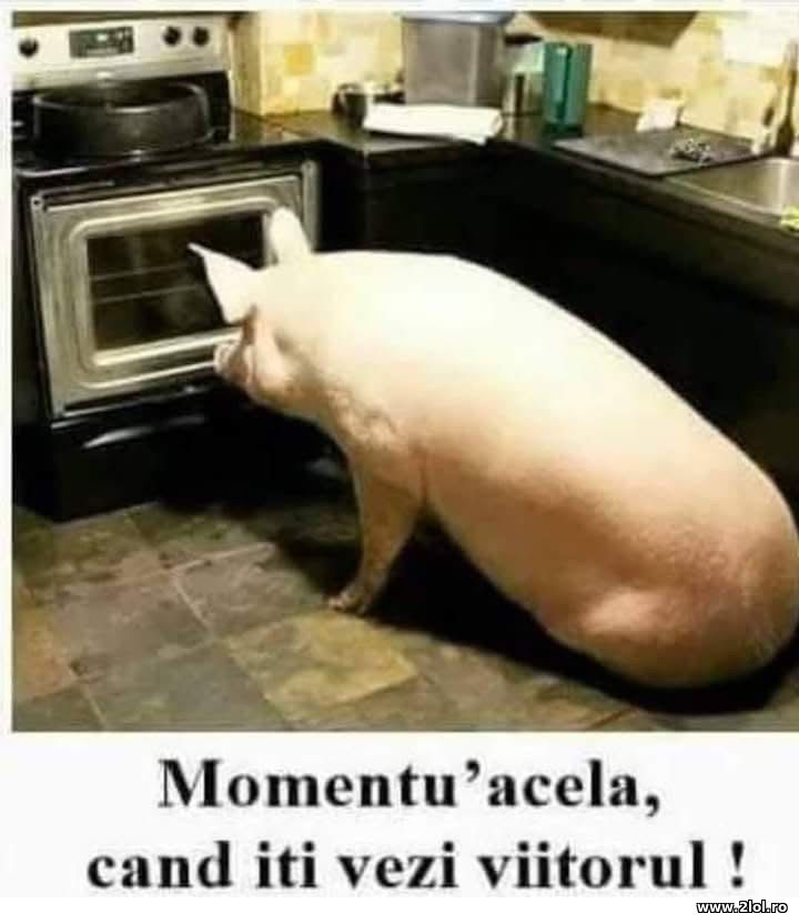 Momentul acela cand iti vezi viitorul | poze haioase