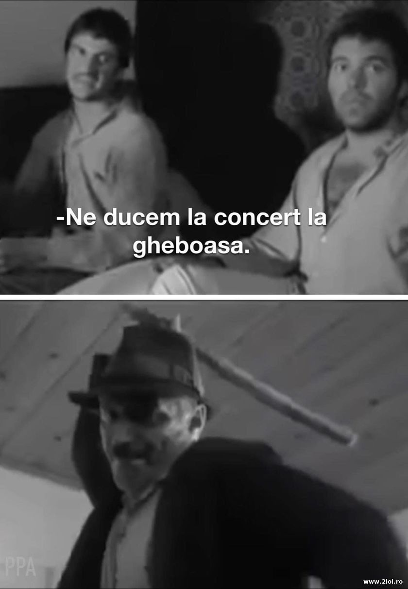 Ne ducem la concert la Gheboasa | poze haioase