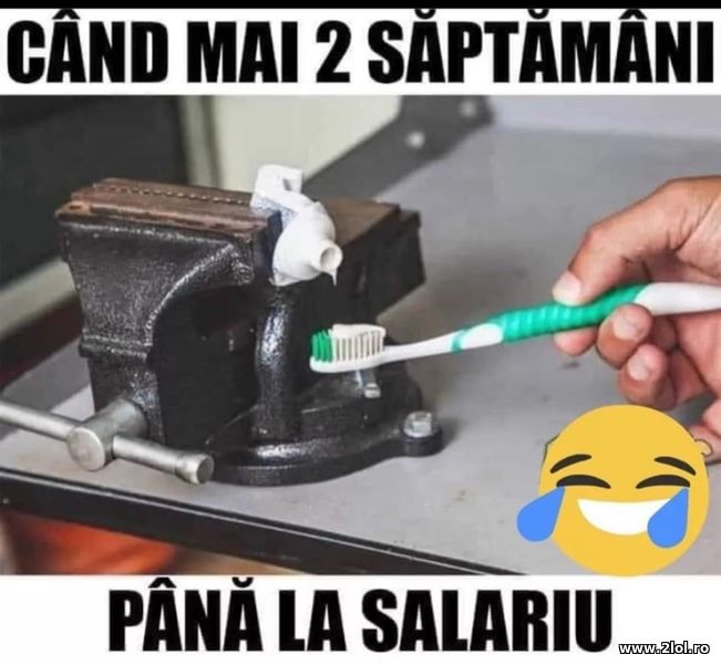 Cand mai ai 2 saptamani pana la salariu | poze haioase