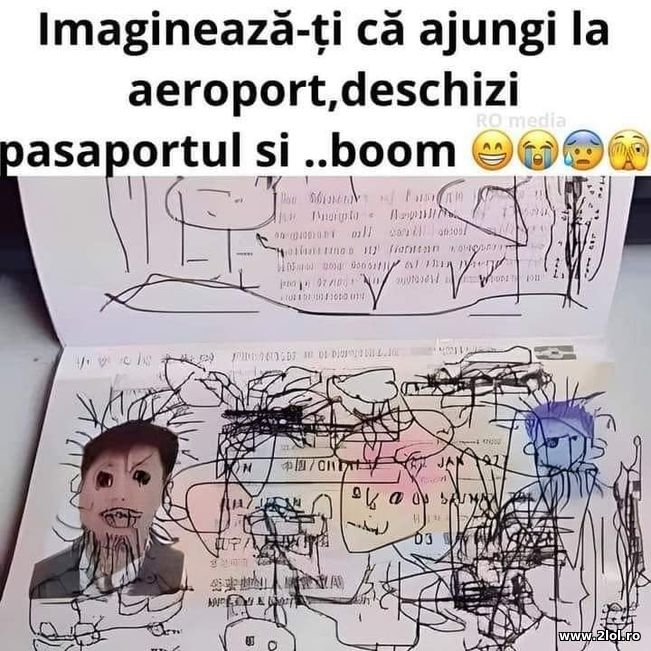 Imagineaza-ti ca ajungi la aeroport | poze haioase