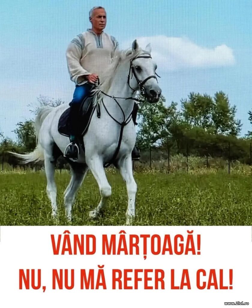 Vand martoaga | poze haioase