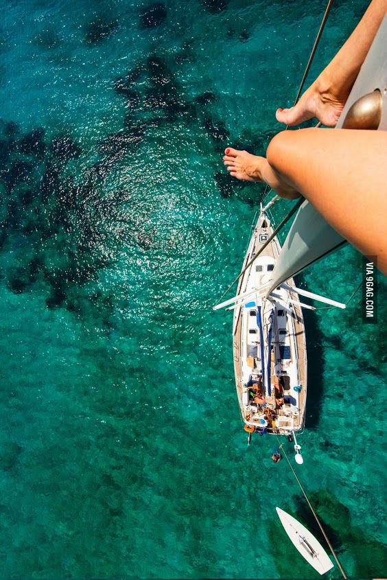 Ea nu se teme de înălțime | poze haioase